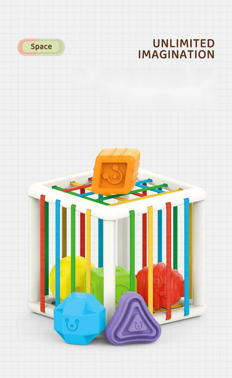 Colorful Shape Blocks Sorting Game Baby
