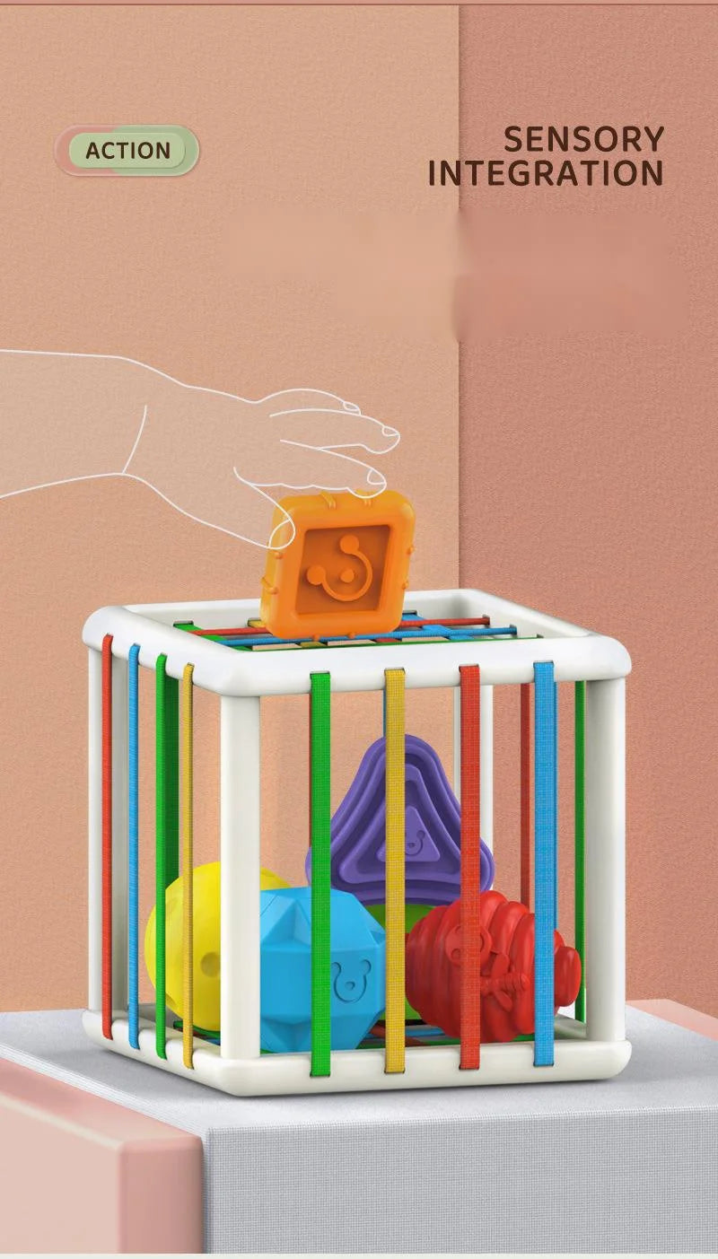 Colorful Shape Blocks Sorting Game Baby